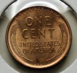 1909 P VDB Lincoln Cent MS 67!!